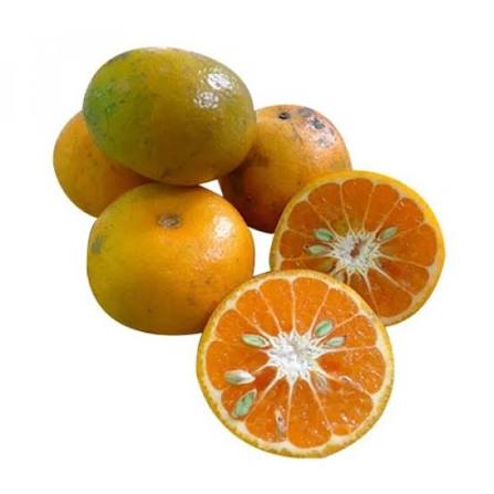 Jeruk BW Manis Segar 1 kg