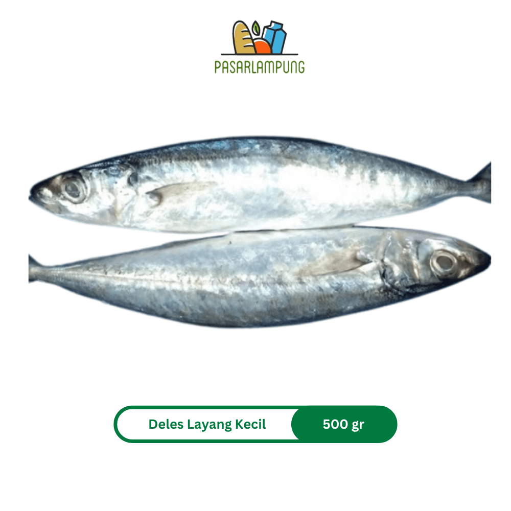 Layang Deles Kecil Fresh Pasar Lampung