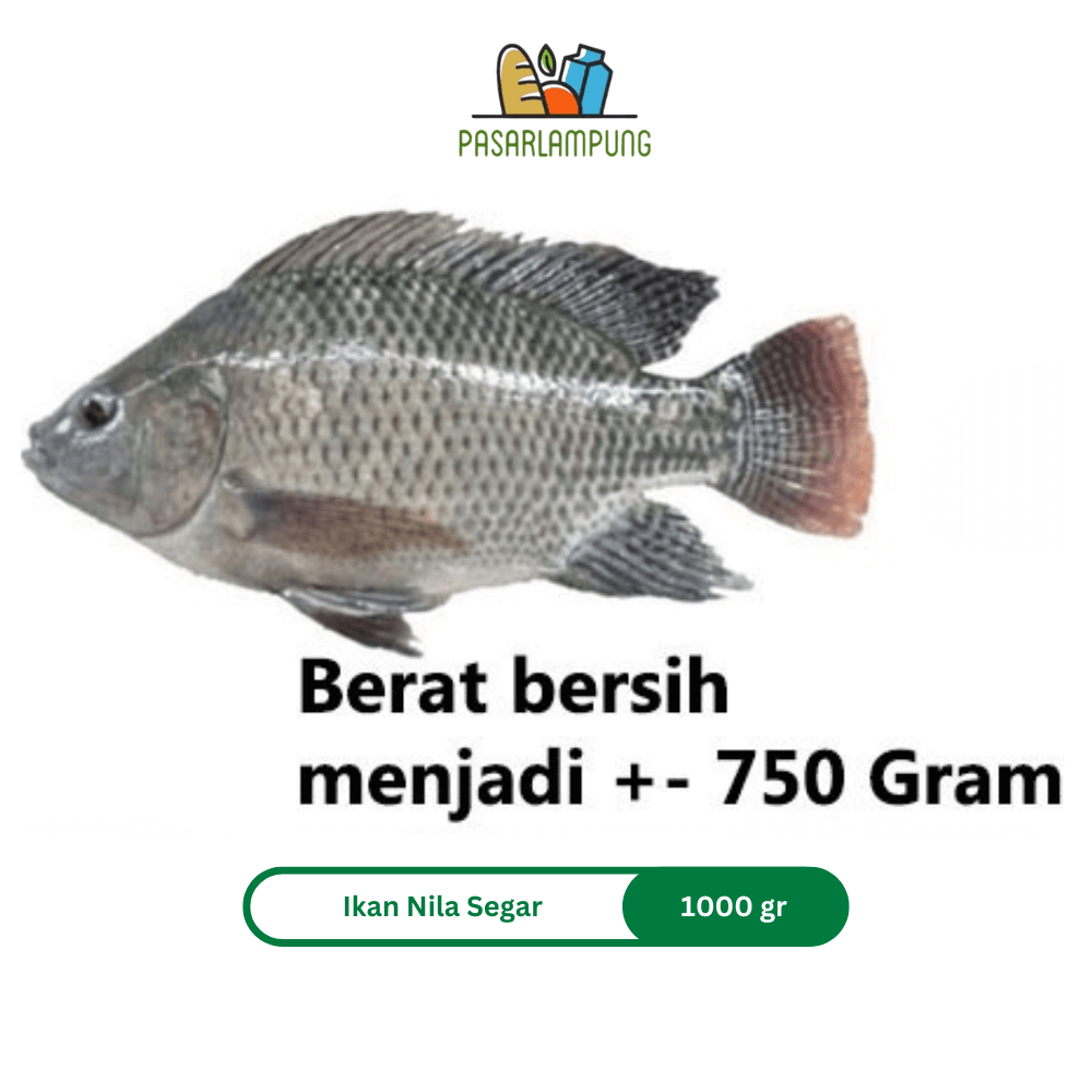 Ikan Nila Segar 950-1000 Gram Pasar Lampung