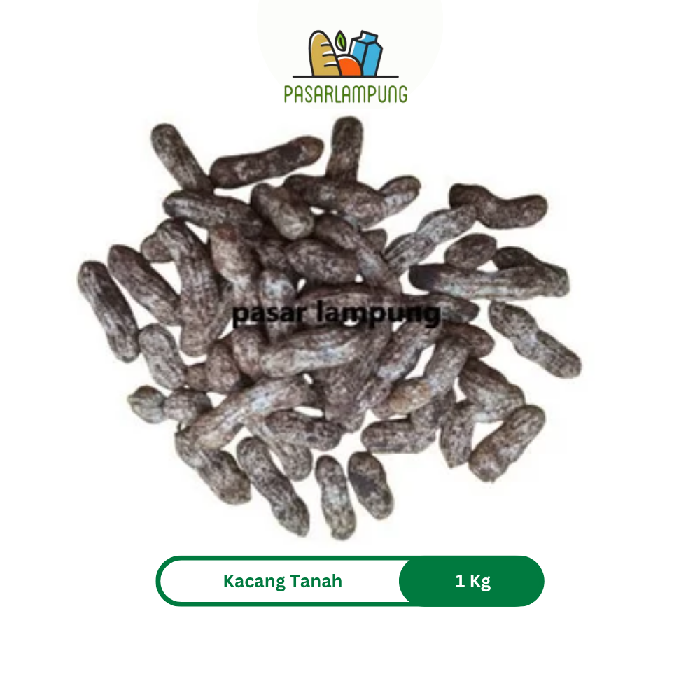 Kacang Tanah Mentah Segar 1 Kg Pasar Lampung