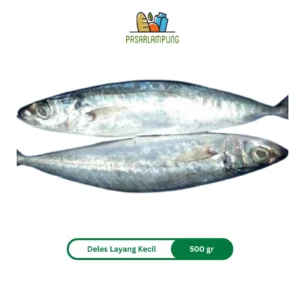 Ikan Layang Kecil Deles Fresh Pasar Lampung - 500 Gram