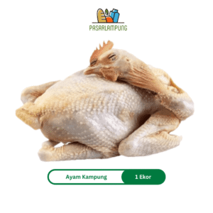 Ayam Kampung Segar 1-1.2 Kg Pasar Lampung 100% Halal