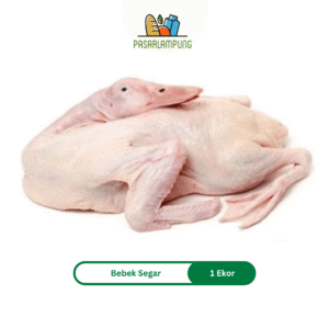 Bebek Segar Per Ekor 1 Kg Pasar Lampung