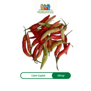 Cabe Caplak Setan Berkulitas Perbungkus Pasar Lampung