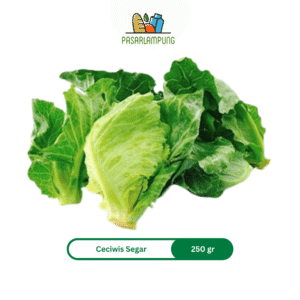 Ceciwis Segar 250 Gr Pasar Lampung