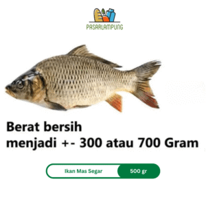 Ikan Mas Segar Per 1 Kg Pasar Lampung