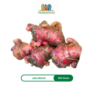 Jahe Merah Segar 250 Gram Pasar Lampung