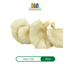 Jamur Tiram Per Bungkus 250 Gram Pasar Lampung