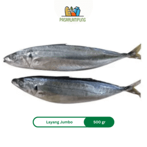 Ikan Layang Jumbo Frozen Beku Pasar Lampung