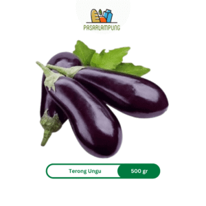 Terong Ungu Segar Pasar Lampung