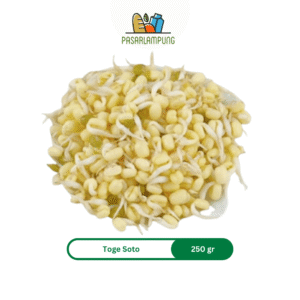 Toge Soto Segar 250 Gram Pasar Lampung