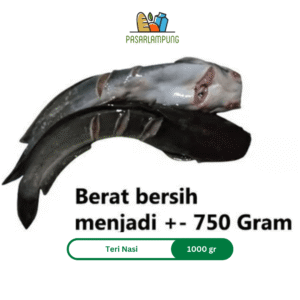 Ikan Lele Segar 1 Kg Pasar Lampung